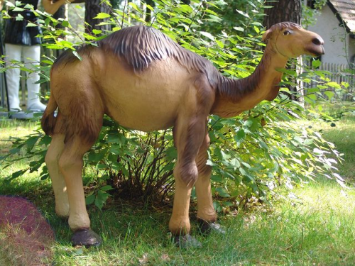 Kamel, stehend, 84cm, Kunstharz