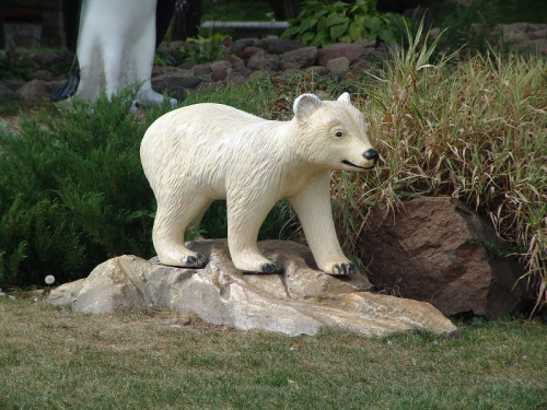 Bären, Bärenkind mit Felsen, 180cm
