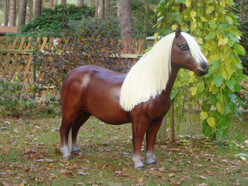 Pony, "Ashanti", Shetland, 162cm, belastbar bis 100kg Kunsthaare, HAEIGEMO, HORSE, PFERD