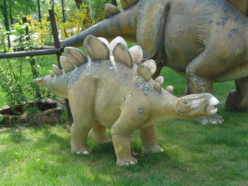Stegosaurus, klein, 240cm