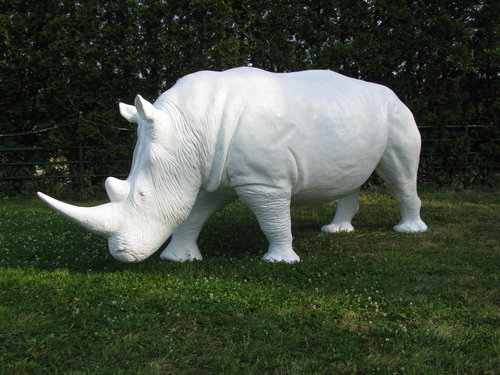 Nashorn, weiß lackiert, 350cm