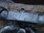 Büffelkopf Skelett, XXL, silberfarben lackiert, 150cm, HAEIGEMO