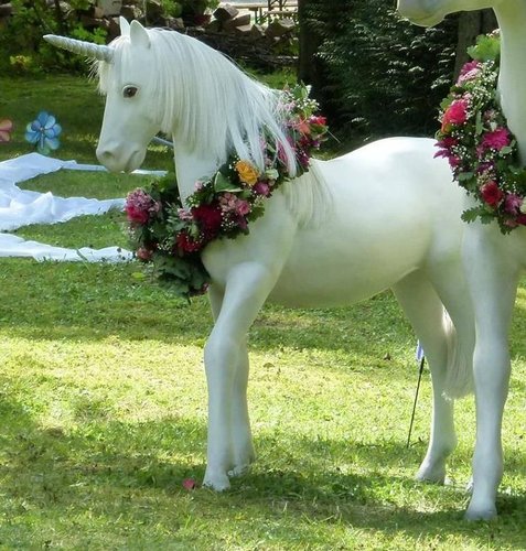 Pferd, Einhorn, Fohlen, silberfarbenes Horn, nicht belastbar, 152cm, HORSE