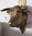 Bullenkopf, Stierkopf, "Aaron von der Alm", bronzefarben lackiert, 85cm, HAEIGEMO