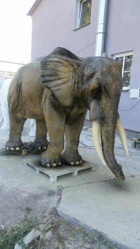 Elefant, "Jeremi", afrikanisch, 370cm
