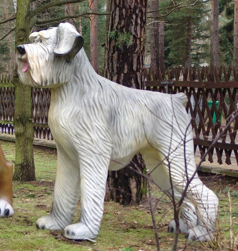 Hunde, Riesenschnauzer XXL, 140cm