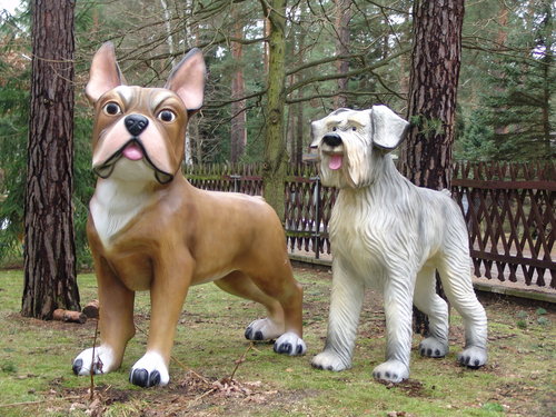 Hunde, French Bulldog und Riesenschnauzer im Doppelpack