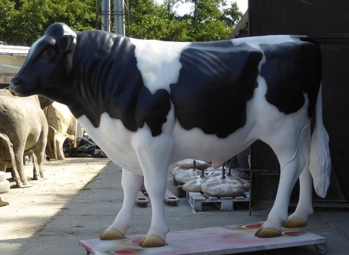 Holstein Bulle,  "Freddy", 280cm, HAEIGEMO