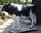 Holstein Bulle,  "Freddy", 280cm, HAEIGEMO