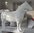 Shetland Pony, "Blanche", 162cm, belastbar bis 100kg, HAEIGEMO, HORSE, PFERD