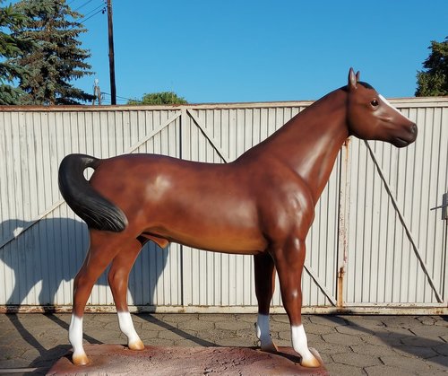 Pferd, "Habib", braun, nicht belastbar, 230cm,