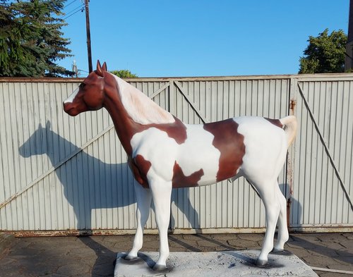 Pferd, "Rocky", braun weiß, nicht belastbar, 230cm,