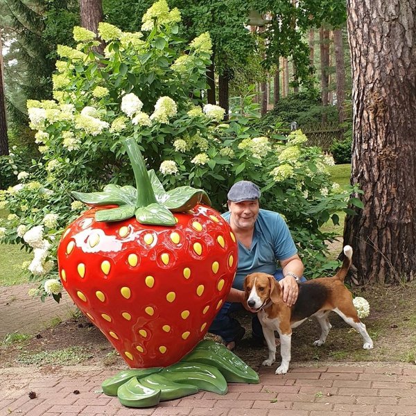 Obst, Erdbeere, 140cm