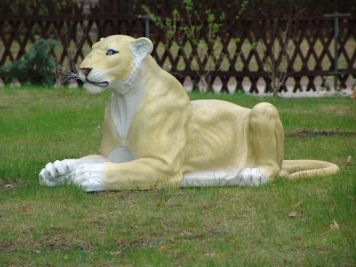 Löwin, liegend,"Milva", 165cm