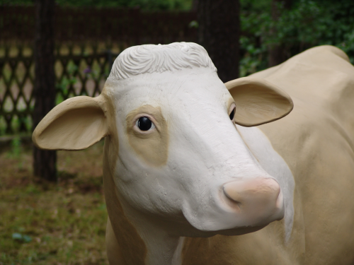 Kuh, "Nanni", Simmentaler Art, ohne Horn, braun weiss, 220cm