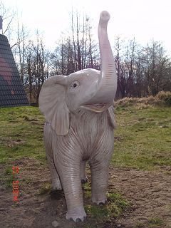 Elefant, "Jacky", mittelgroß, afrikanisch, 185cm