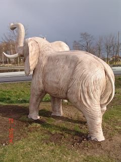 Elefant, "Jago", afrikanisch, 370cm