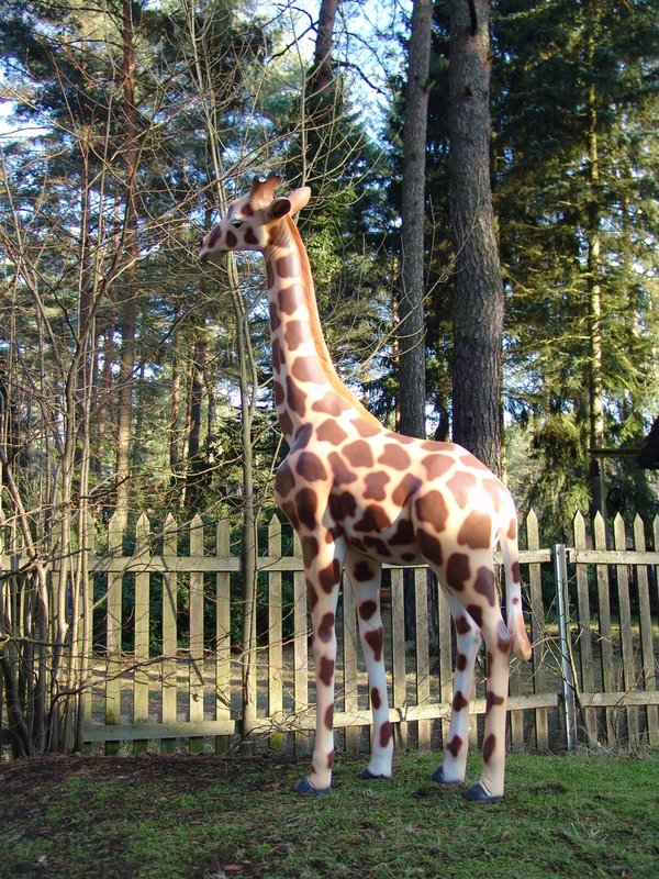 Giraffe "Baby ", 195cm