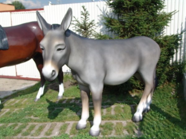 Esel, " Schlitzohr", 180cm