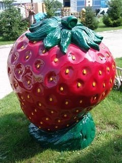 Obst, Erdbeere, 100cm