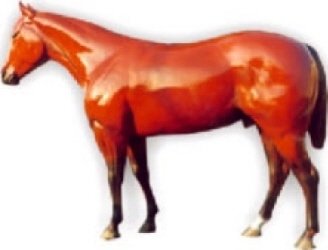 Pferd, "Albert", braun, nicht belastbar, 250cm, HORSE