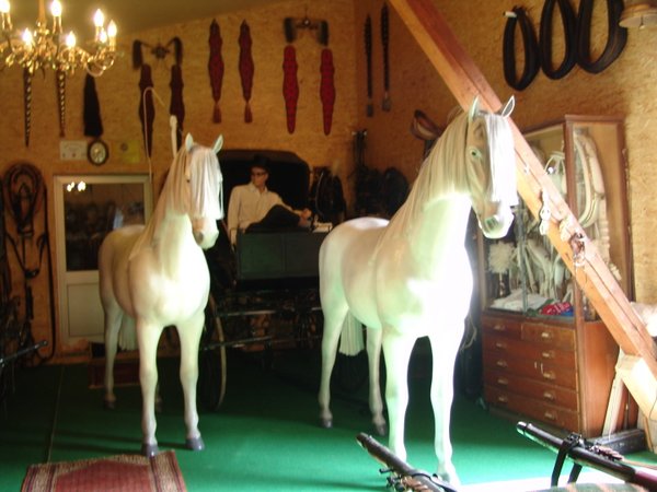 Pferd, Horse, Kutschpferd, "Silverstar", Kunsthaar, nicht belastbar, 256cm, HORSE