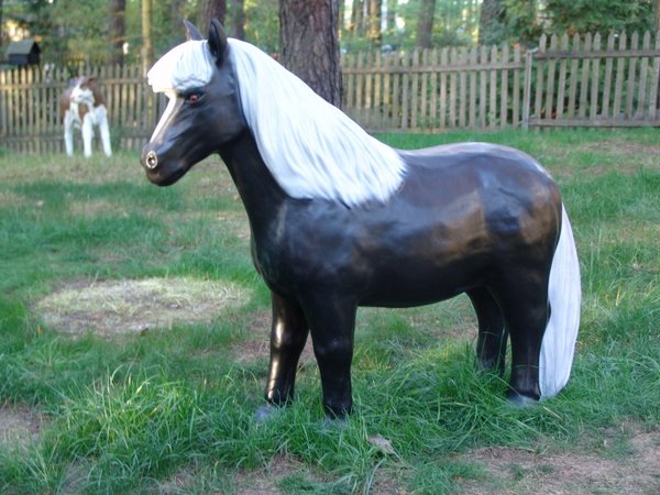 Pony, klein, "Blacky",  belastbar bis 100kg, 126cm, HORSE