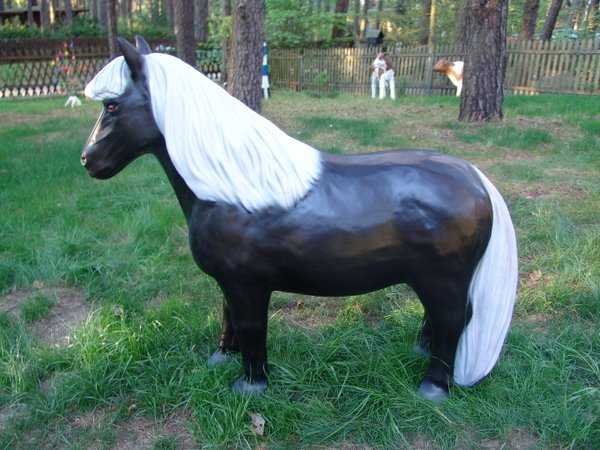 Shetland Pony, klein, "Blacky",  belastbar bis 100kg, 126cm, HORSE