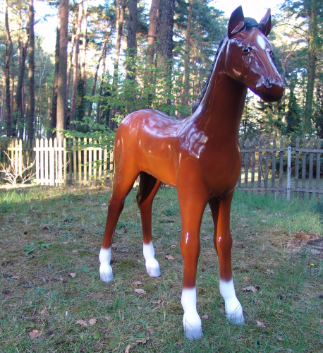 Pferd, Fohlen, "Lara", nicht belastbar, 153cm, HORSE