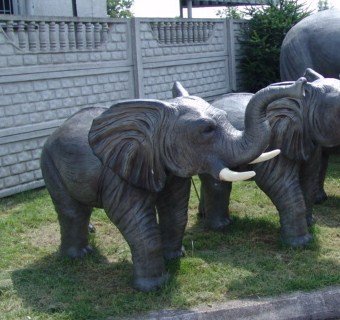 Elefant, "Juri", klein, afrikanisch, 182cm