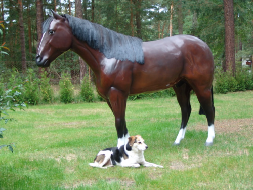 Pferd, "Diabolo", Kunsthaare, nicht belastbar, 250cm, HORSE