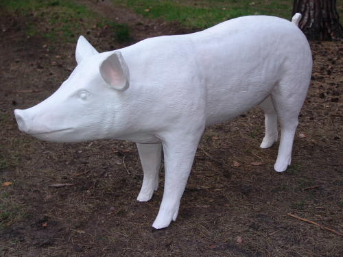 Schwein, "Rocco", Eber, grundiert, 160cm