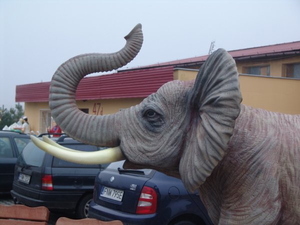 Elefant, "Jakob", 330cm