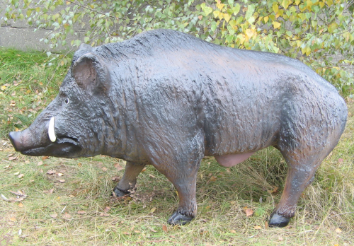 Wildschwein, Keiler, 160cm