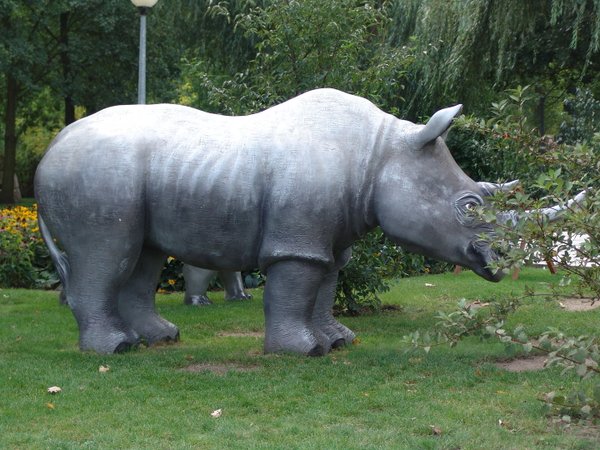 Nashorn, 340cm