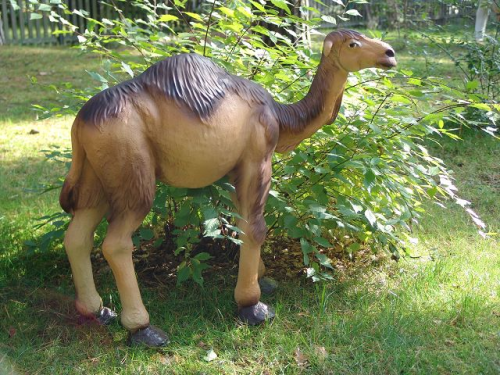 Kamel, stehend, 84cm, Kunstharz