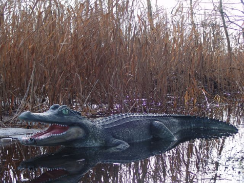 Krokodil, Aligator, "Rocco" 210cm