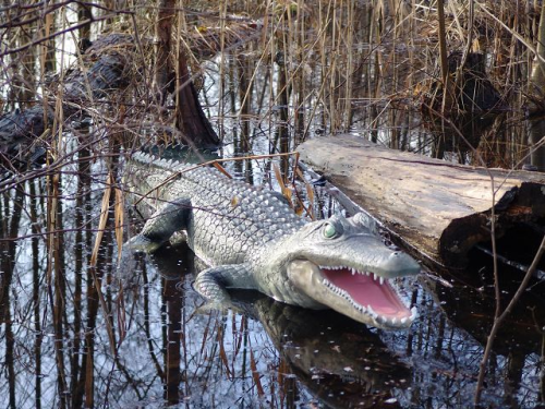 Krokodil, Aligator, "Rocco" 210cm
