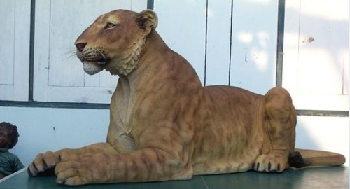 Löwin, liegend, "Melina", 165cm