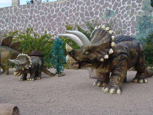 Triceraptos, groß, 465cm