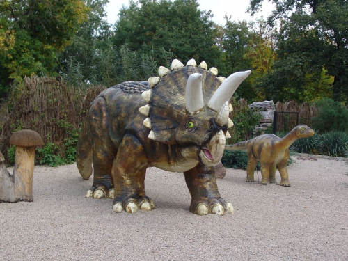 Triceraptos, groß, 465cm