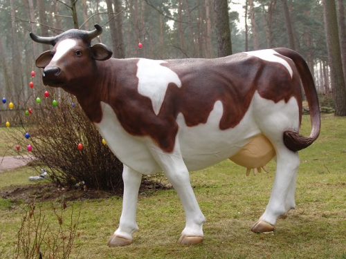 Kuh, "Saskia", braun weiss, 220cm