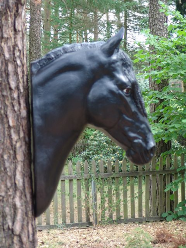 Pferd, Pferde Kopf, "Friese", 108cm, HORSE