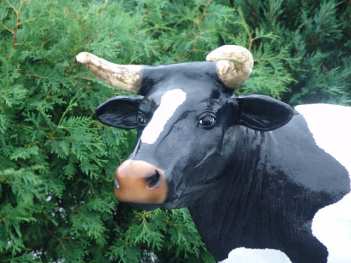 Kuh, "Helene" mit Kalb, schwarz weiss, 215cm