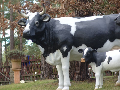 Kuh, "Kathi von der Alm", belastbar, mit Kalb, schwarz weiß, 220cm, HAEIGEMO