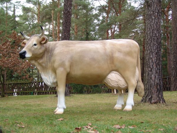 Kuh, "Wilma von der Alm", belastbar, mit Kalb, Braunvieh, 220cm , HAEIGEMO