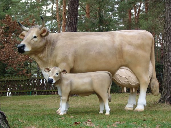 Kuh, "Wilma von der Alm", belastbar, mit Kalb, Braunvieh, 220cm , HAEIGEMO