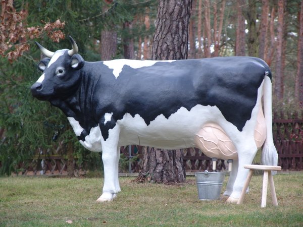 Kuh, Melkkuh, "Zitta von der Alm", belastbar bis 100kg, 1 x 19L Tank, schwarz weiß, 220cm, HAEIGEMO