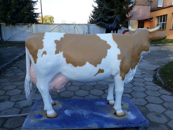 Kuh, "Lotte von der Alm", braun weiss, 220cm, HAEIGEMO