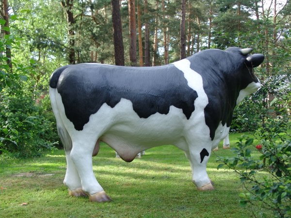 Bulle, "Anton von der Alm", schwarz weiß, 260cm, HAEIGEMO